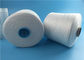 40s/2 hizo girar blanco crudo de la Virgen de los hilados de polyester en cono de teñido del tubo/del papel proveedor