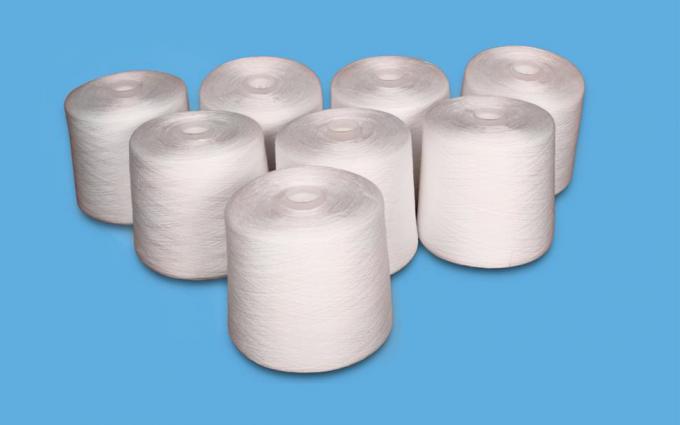 40 / hilados de polyester 2 40/3 hechos girar el 100% en blanco natural de muerte plástico del tubo